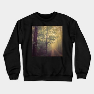 Neverland Crewneck Sweatshirt